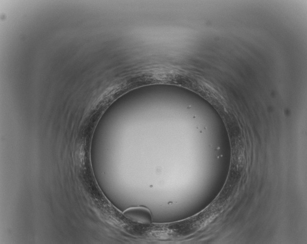 X0000064770595200602131318