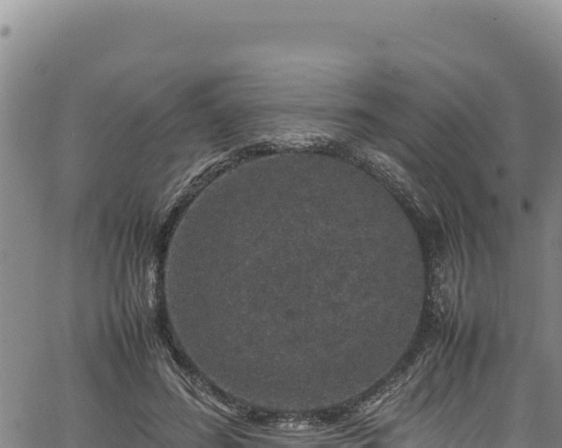 X0000064770596200602131318