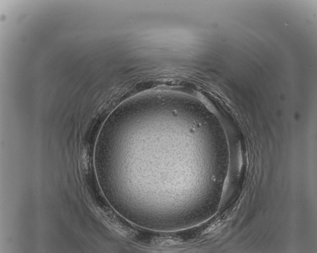 X0000064770597200602131318