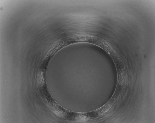 X0000064770598200602131318