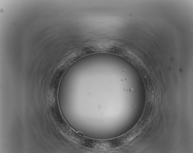 X0000064770599200602131318