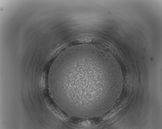 X0000064770600200602131318