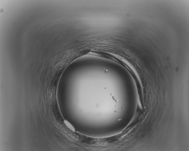 X0000064770601200602131318