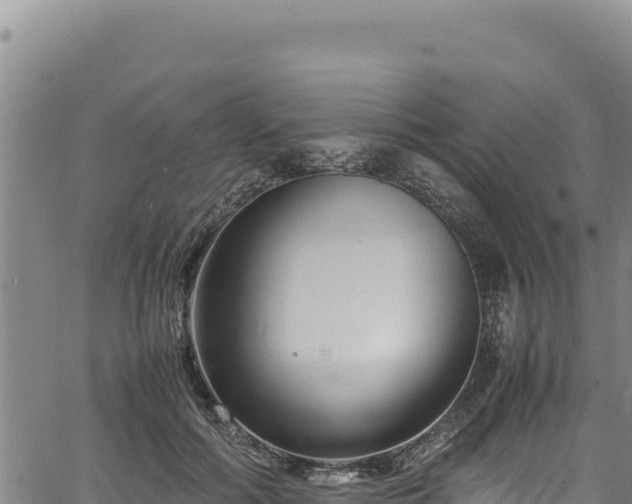 X0000064770602200602131318