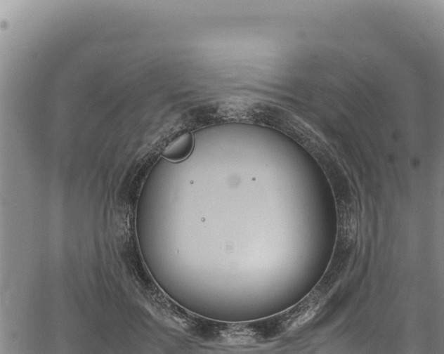 X0000064770603200602131318