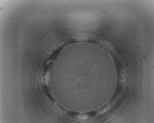 X0000064770604200602131318