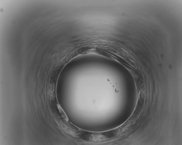 X0000064770605200602131318