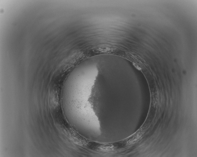 X0000064770606200602131318