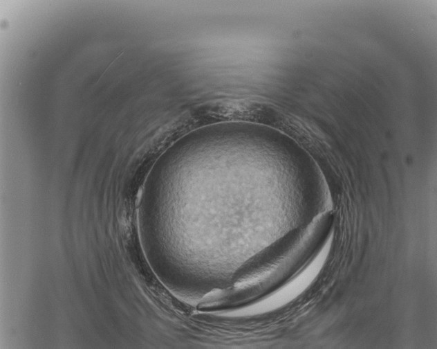 X0000064770607200602131318