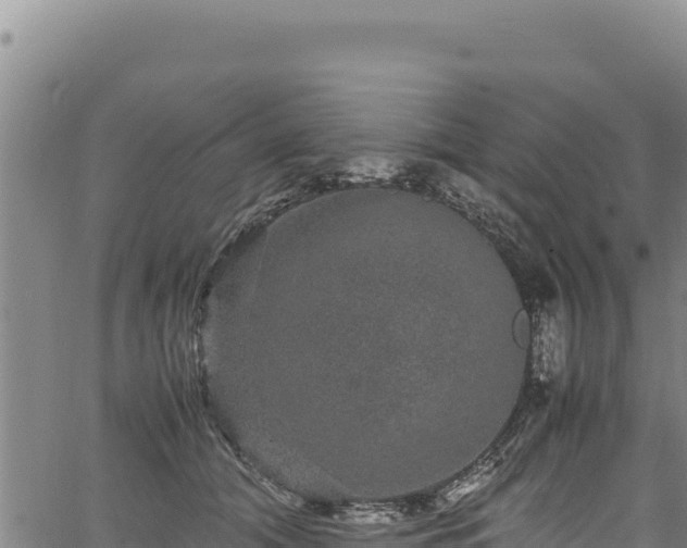 X0000064770608200602131318