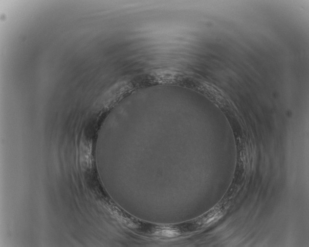 X0000064770610200602131318