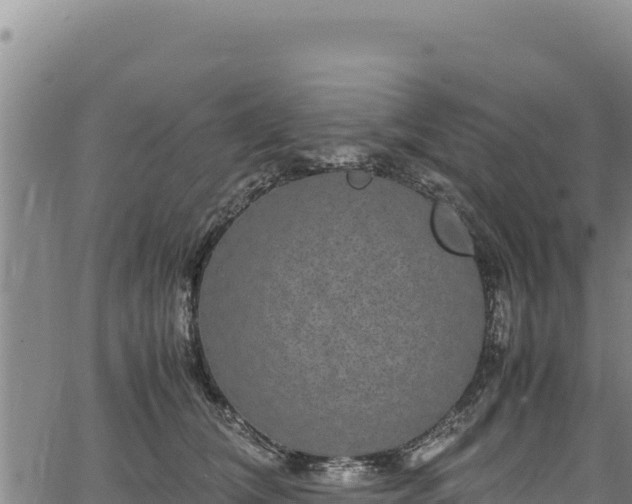 X0000064770612200602131318