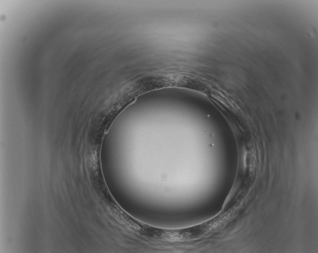 X0000064770613200602131318