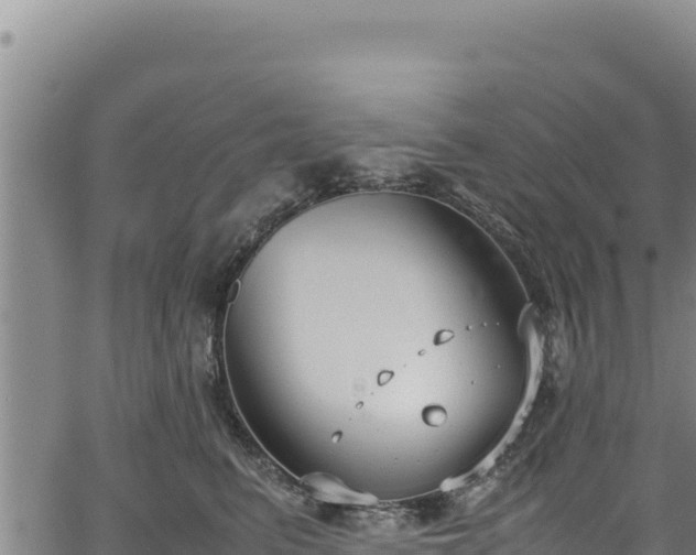 X0000064770615200602131318