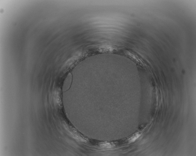 X0000064770616200602131318