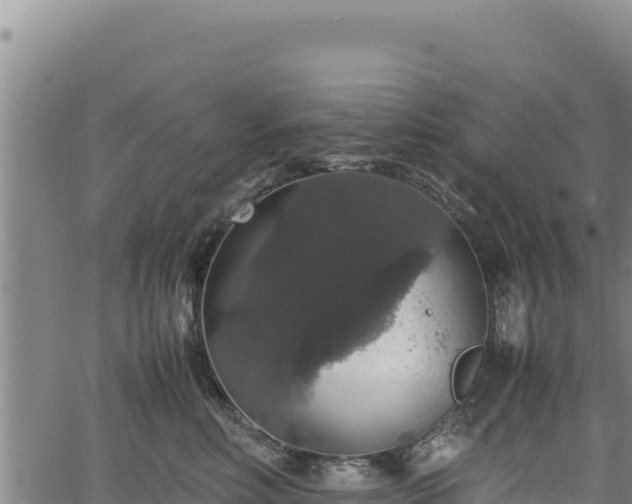 X0000064770618200602131318