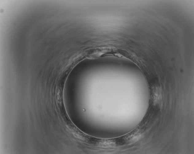 X0000064770619200602131318