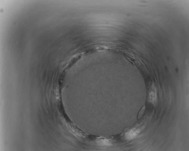 X0000064770620200602131318