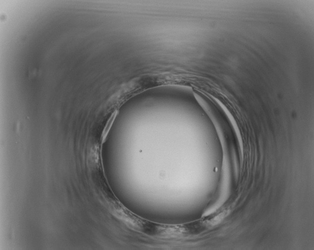 X0000064770621200602131318