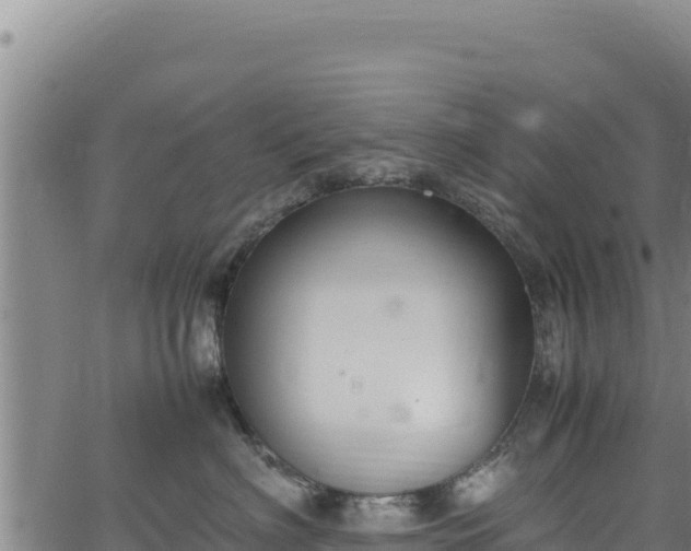 X0000064770622200602131318