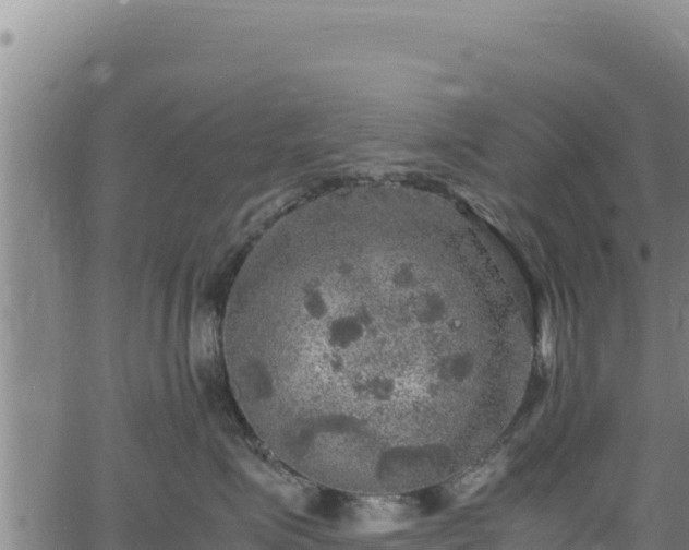 X0000064770623200602131318