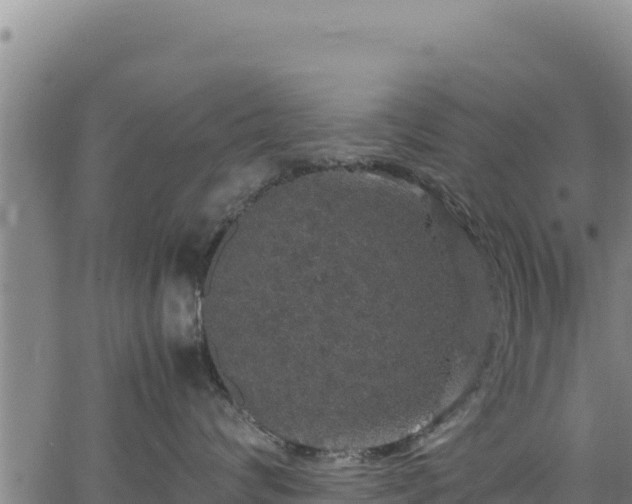 X0000064770624200602131318