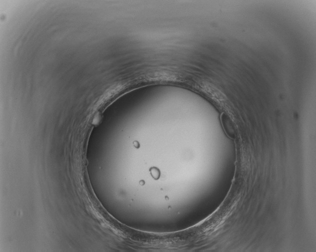 X0000064770625200602131317