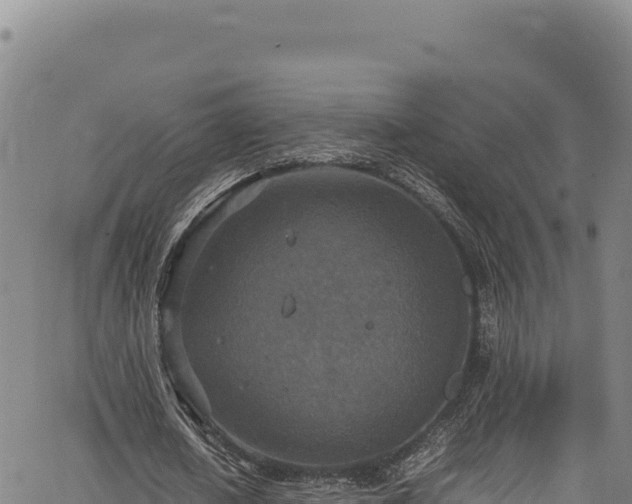 X0000064770626200602131317