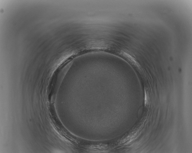 X0000064770627200602131317