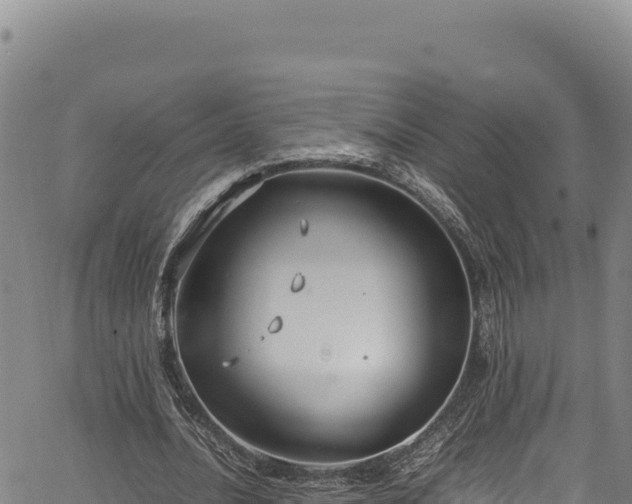 X0000064770628200602131317