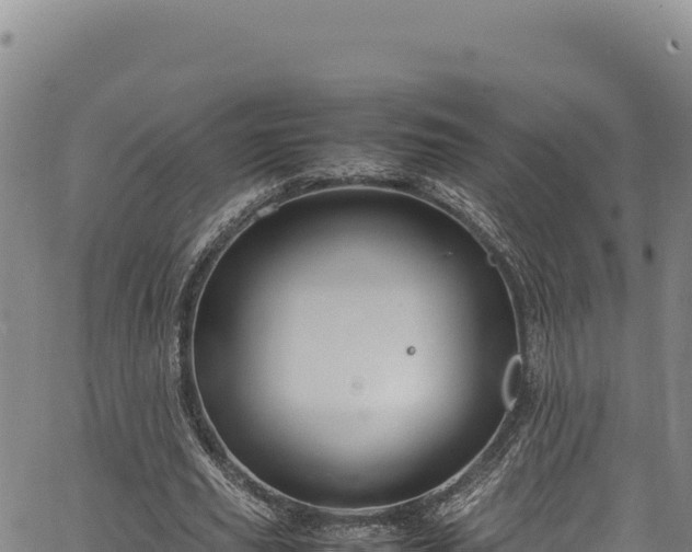 X0000064770629200602131317