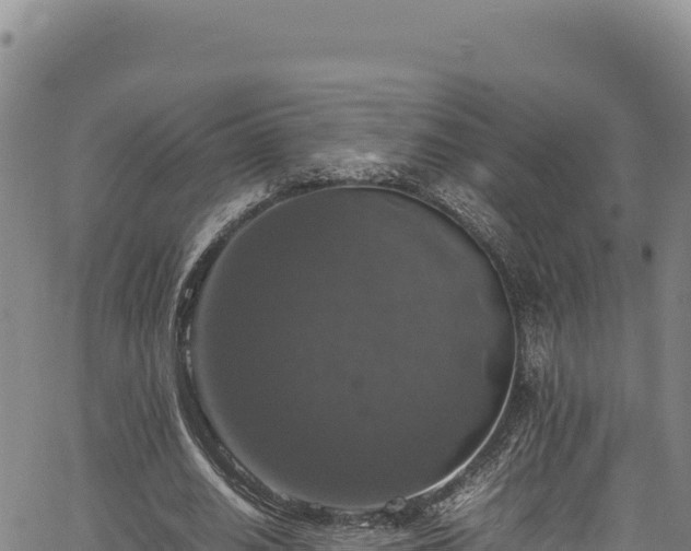 X0000064770630200602131317