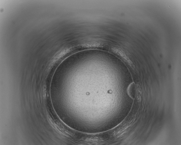 X0000064770631200602131317