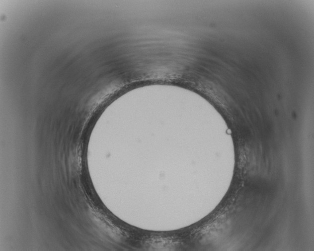 X0000064770632200602131317