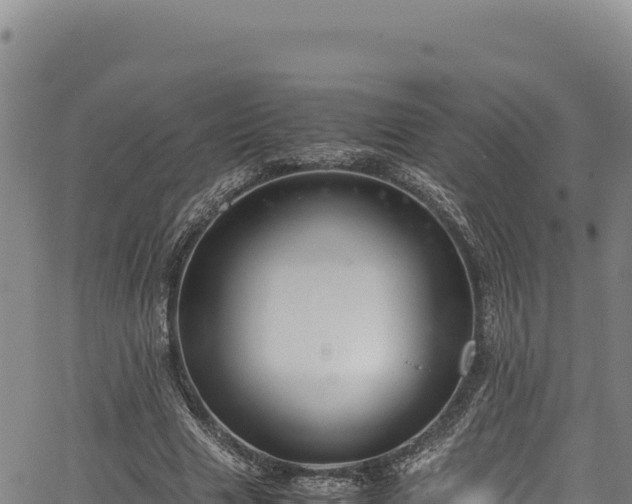 X0000064770633200602131317