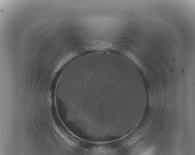 X0000064770634200602131317