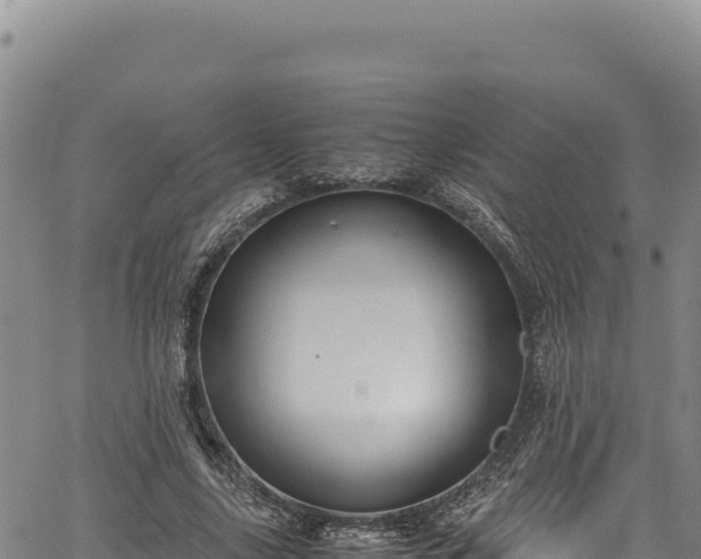 X0000064770635200602131317