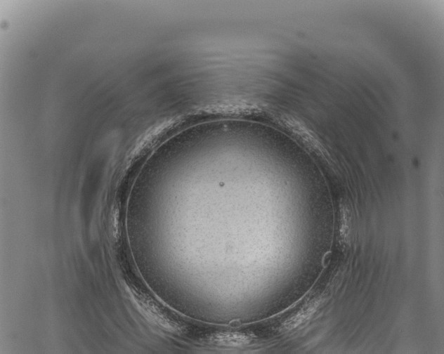 X0000064770636200602131317