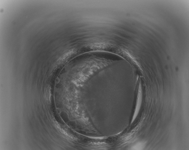 X0000064770637200602131317