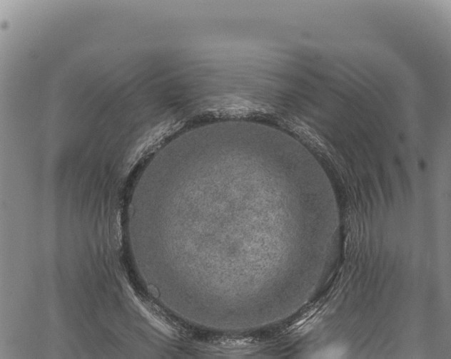 X0000064770638200602131317