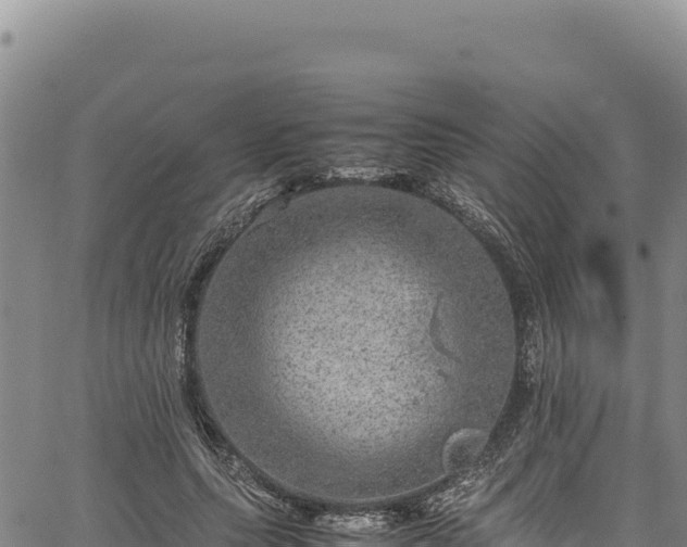 X0000064770639200602131317