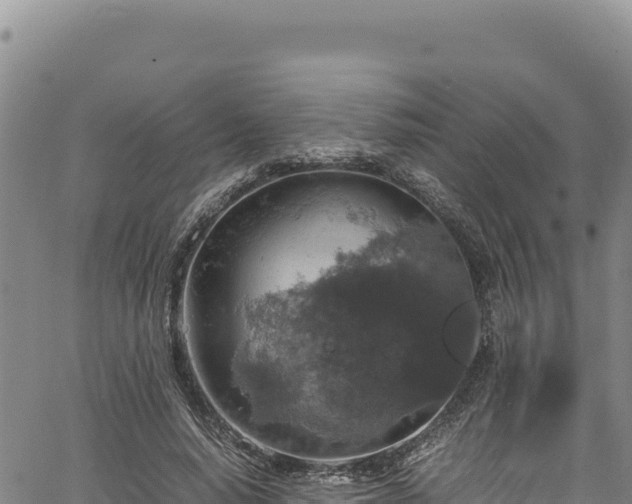 X0000064770640200602131317