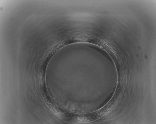 X0000064770641200602131317