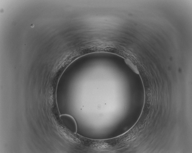 X0000064770642200602131317