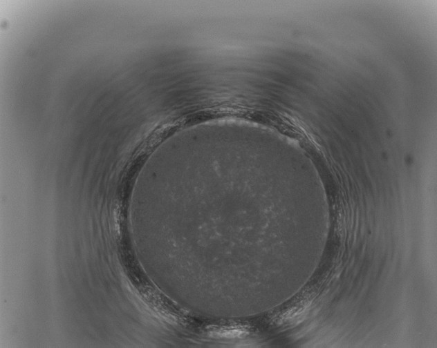 X0000064770643200602131317