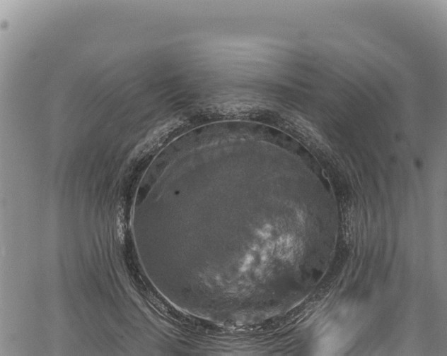 X0000064770644200602131317