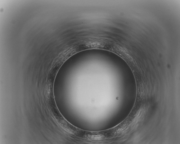 X0000064770645200602131317