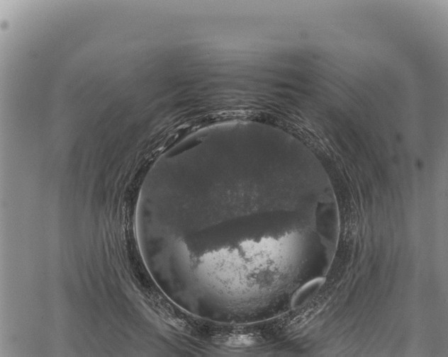 X0000064770647200602131317