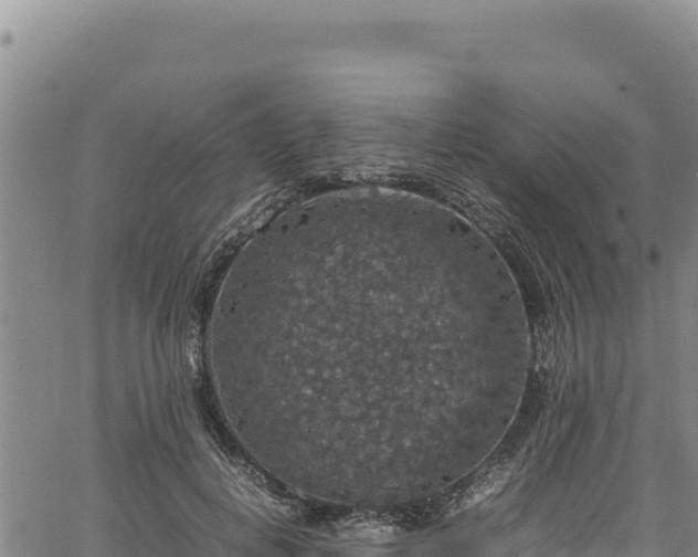 X0000064770648200602131317