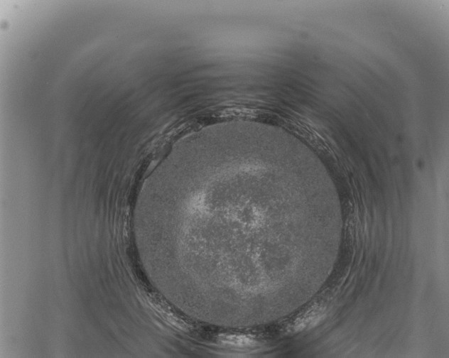 X0000064770649200602131317